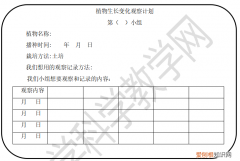 四年级下册科学第一单元凤仙花的一生教案，最新版教科版小学科学四年级下册第一单元2种植