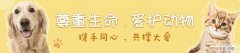 爱护流浪动物的倡议书400字，请转发！文明养犬、关爱流浪动物倡议书