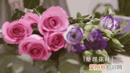 养花小技巧,轻松养，花艺教程~鲜花养不活？那是因为你没看这里！