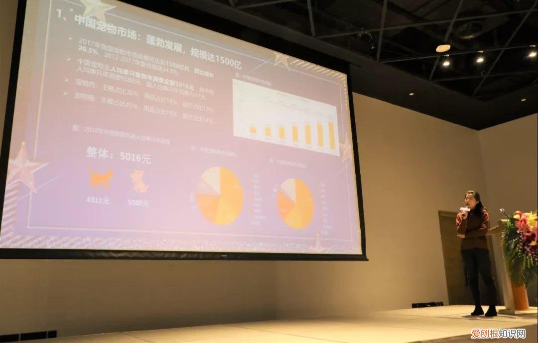 蒋梦jie，论坛干货｜蒋梦晗：宠物行业的现在与未来