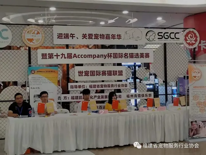 福建宠物展，端午节回顾：福州宠物展走进“文明养宠系列活动”