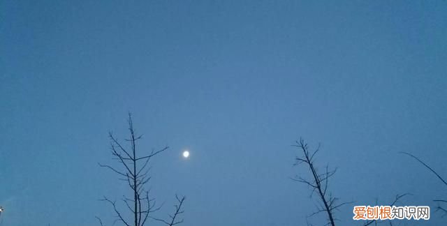 简述头条号与微信公众号的区别