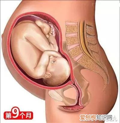 干货太多，实用收藏 关于母婴用品的问题研究，二十六个母婴常识！