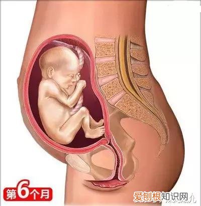 干货太多，实用收藏 关于母婴用品的问题研究，二十六个母婴常识！