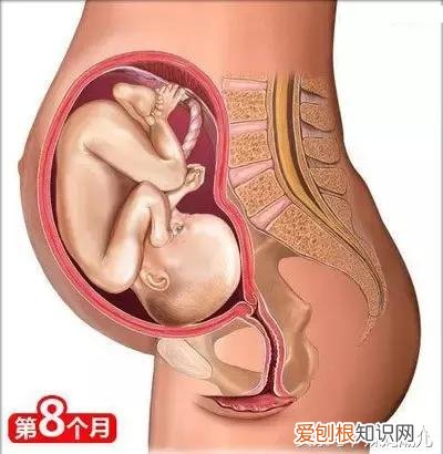 干货太多，实用收藏 关于母婴用品的问题研究，二十六个母婴常识！