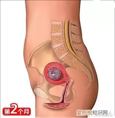 干货太多，实用收藏 关于母婴用品的问题研究，二十六个母婴常识！