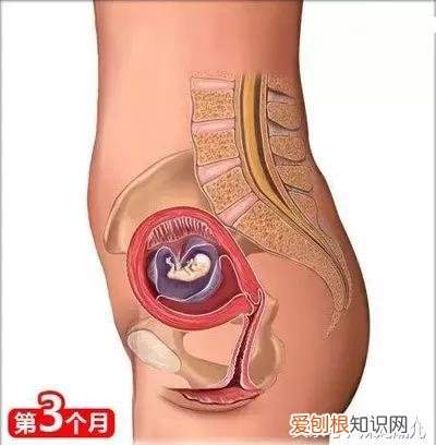 干货太多，实用收藏 关于母婴用品的问题研究，二十六个母婴常识！