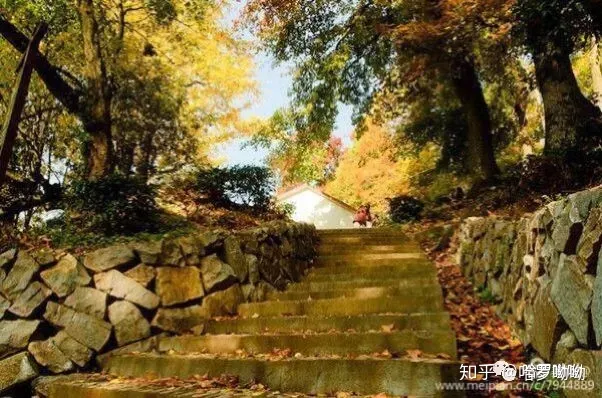 温州哈罗呦呦托育幼儿园，【哈罗呦呦托育】秋季育儿小知识