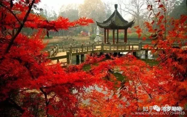 温州哈罗呦呦托育幼儿园，【哈罗呦呦托育】秋季育儿小知识