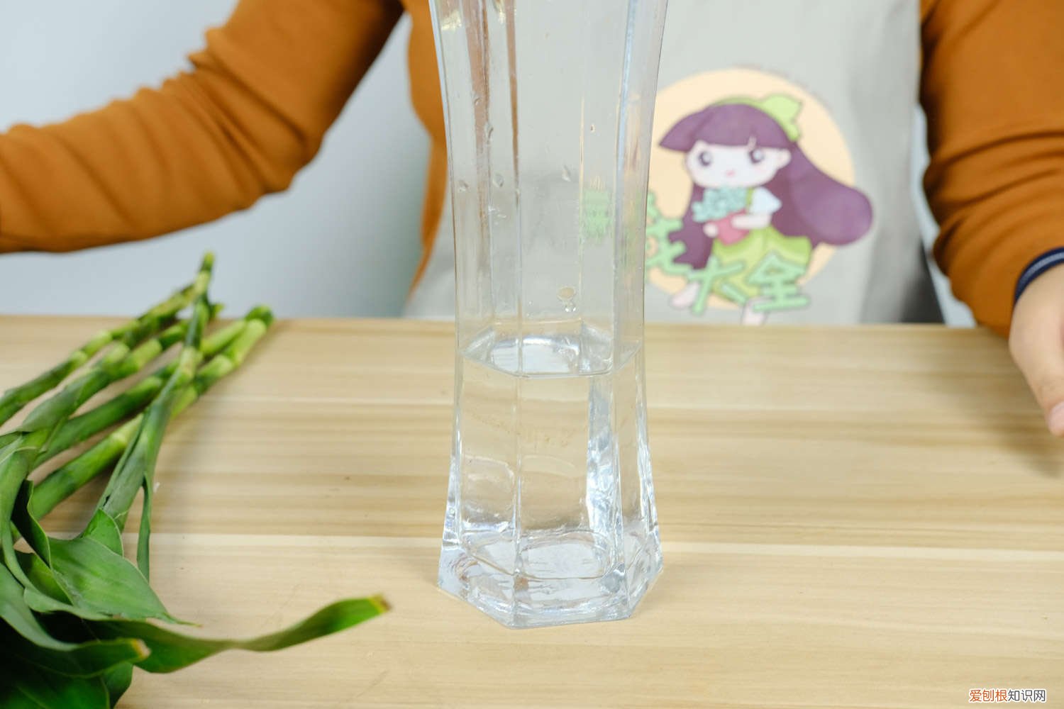 富贵竹冬天怎么养才能安全过冬水培 冬天零下怎么养富贵竹，水培富贵竹冬天怎么养