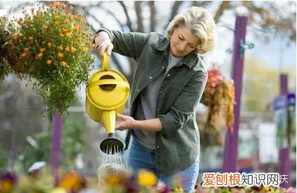 怎么把花养好有什么方法，【干货】怎么把花养得漂亮是个技术活，看完你就会了！