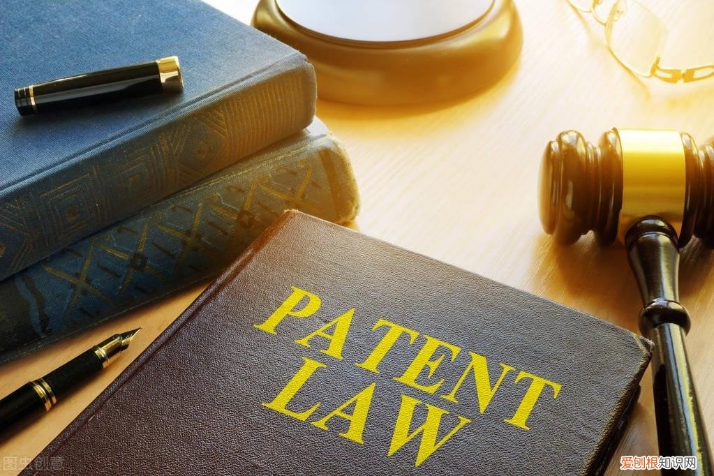 根据专利法的规定,不能授予，关于《专利法》第二十五条不授予专利权客体的解释