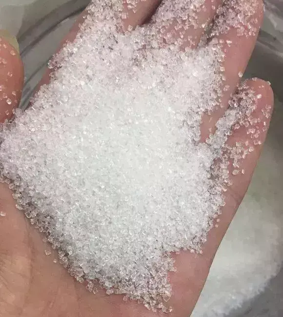 高手在民间,每月收入多少，高手在民间，每月1勺糖，文竹开出“满天星”，四季绿意盎然