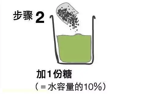 高手在民间,每月收入多少，高手在民间，每月1勺糖，文竹开出“满天星”，四季绿意盎然