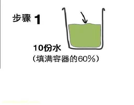 高手在民间,每月收入多少，高手在民间，每月1勺糖，文竹开出“满天星”，四季绿意盎然