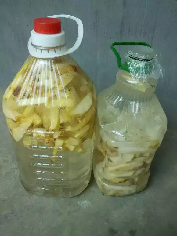 高手在民间,每月收入多少，高手在民间，每月1勺糖，文竹开出“满天星”，四季绿意盎然