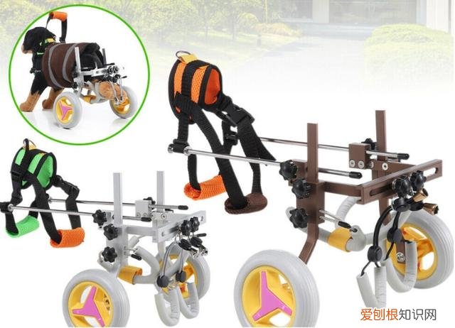 在亚马逊上卖宠物饲料，@亚马逊卖家：铲屎官的钱不好赚，热销的宠物产品大多都已申请专利！