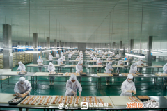 潍坊孙刚讲话，潍坊企业家谈创新⑤|孙洪学：养宠热潮推动企业的探索创新之路