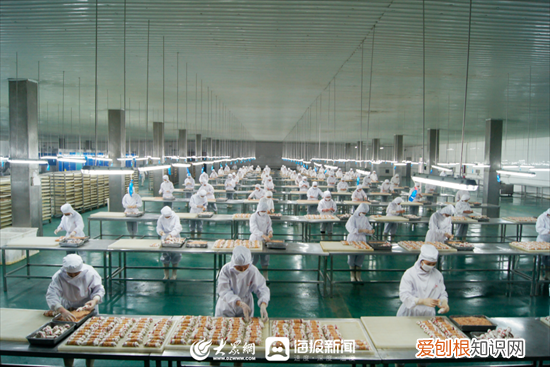 潍坊孙刚讲话,潍坊企业家谈创新⑤|孙洪学:养宠热潮推动企业的探索创新之路