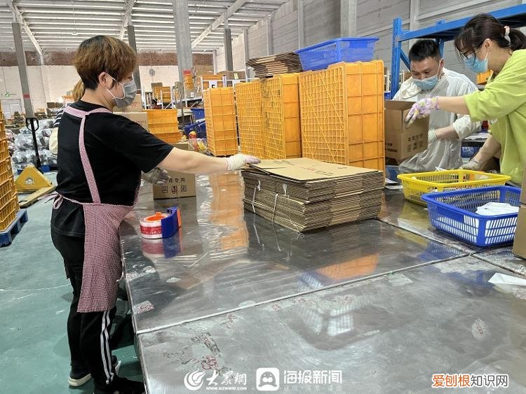 潍坊孙刚讲话,潍坊企业家谈创新⑤|孙洪学:养宠热潮推动企业的探索创新之路