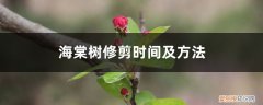 海棠树怎么修剪什么时候修剪 海棠树修剪时间及方法