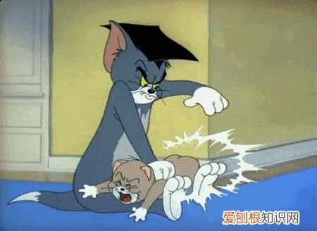 孩子童言童语，【童心童语分享】蒙氏主讲陈乾鹏：关于家园共育我的4点经验