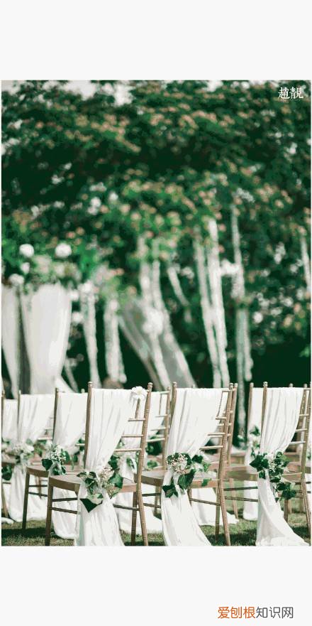 多肉为什么夏季休眠,多肉新闻第55期 大家注意,多肉已经进入度夏模式!