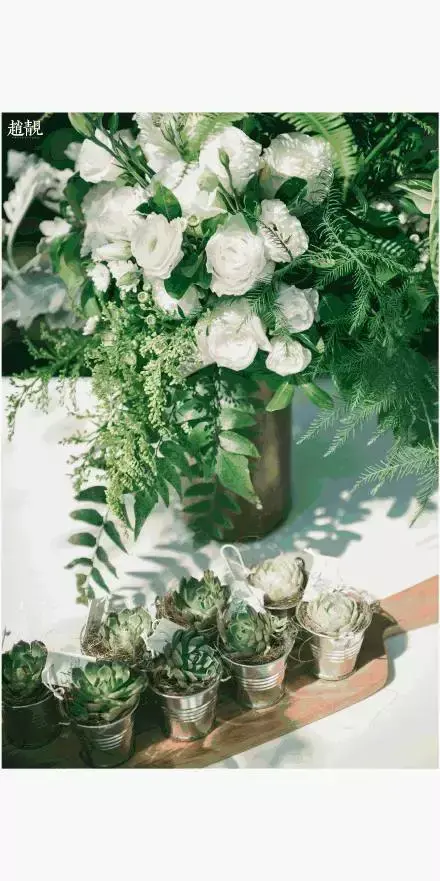 多肉为什么夏季休眠,多肉新闻第55期 大家注意,多肉已经进入度夏模式!