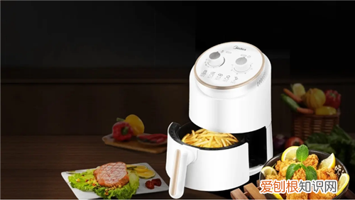 空气炸锅健康吗，空气炸锅健康吗工作原理是什么
