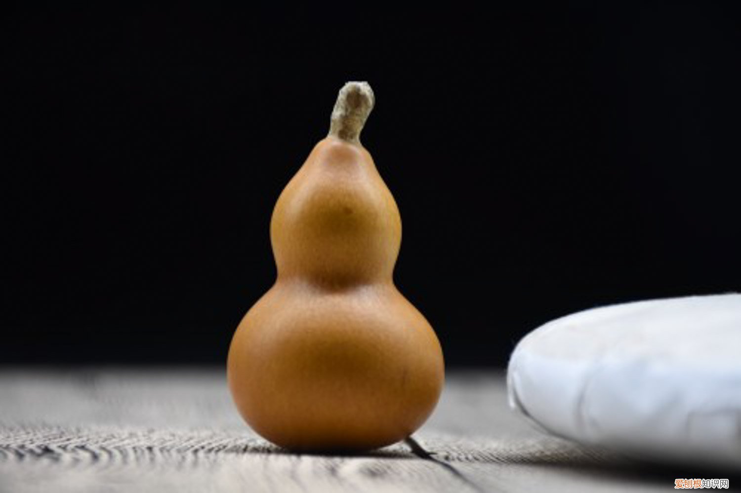 籽葫芦的栽培技术 干葫芦籽的种植方法