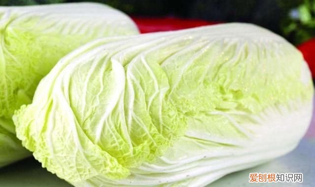 蔬菜也有保质期这样的菜千万别吃