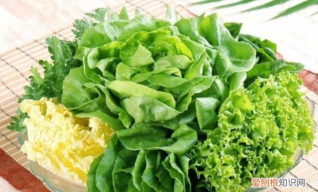 蔬菜也有保质期这样的菜千万别吃