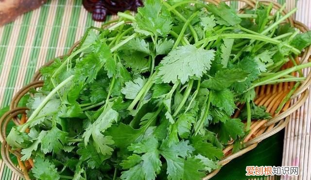 蔬菜也有保质期这样的菜千万别吃