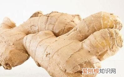 蔬菜也有保质期这样的菜千万别吃