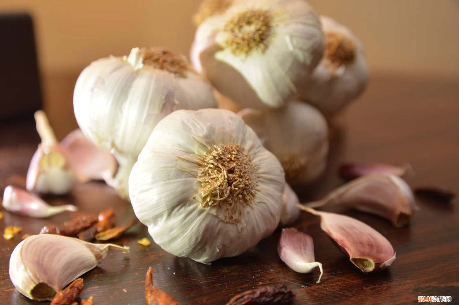 大蒜怎么养绿萝 大蒜怎么养