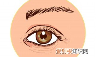 有黑眼圈吃什么好? 有黑眼圈吃什么好