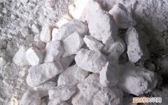 海盐和生石灰哪个烂根效果好 土传病害严重用生石灰就能搞定