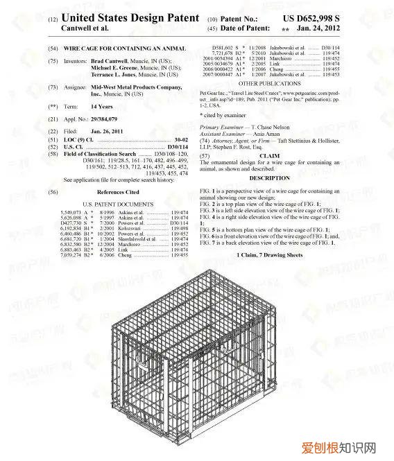 宠物疾病自查，赶紧自查！这些宠物用品，一碰就侵权！