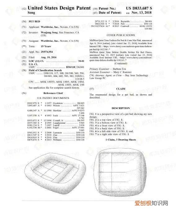 宠物疾病自查，赶紧自查！这些宠物用品，一碰就侵权！