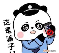 熊猫反诈是什么意思