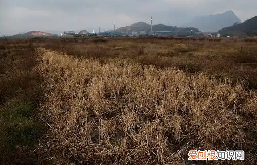 2028年土地到期后怎么调整,2023年土地到期怎么办