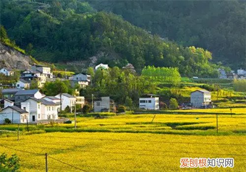 宅基地纠纷找哪个部门解决，宅基地纠纷找哪个部门解决海南