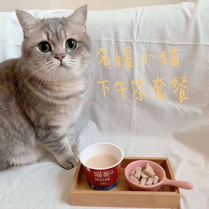 买个美女当宠物，95后女生卖宠物奶茶年入百万，要加快申请知识产权保护