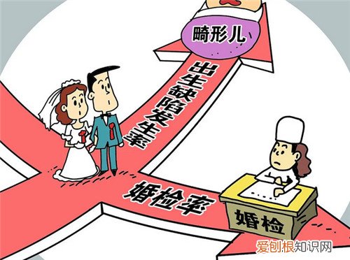 婚检什么情况不能结婚，婚检什么情况不能结婚生子