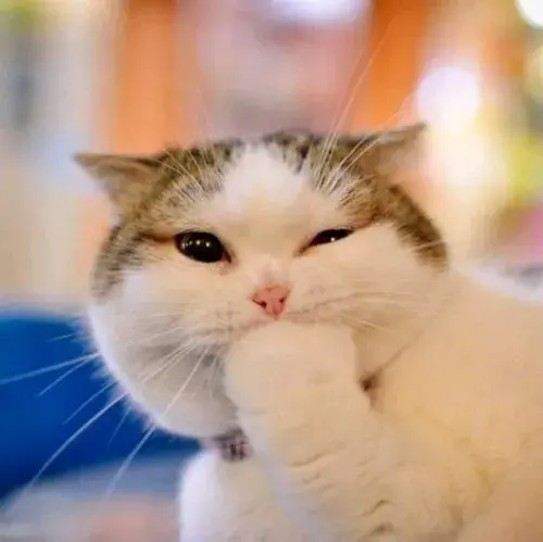 幼儿园家园栏育儿知识内容，听说开学前要布置家园栏？别急！我们给幼师准备好了