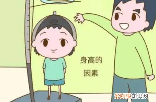 孩子吃什么可以长高个子，孩子吃什么可以长高个子食谱