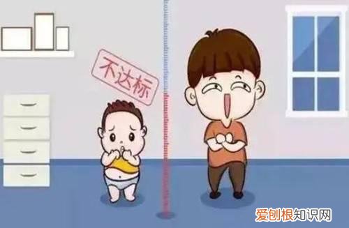 孩子吃什么可以长高个子，孩子吃什么可以长高个子食谱