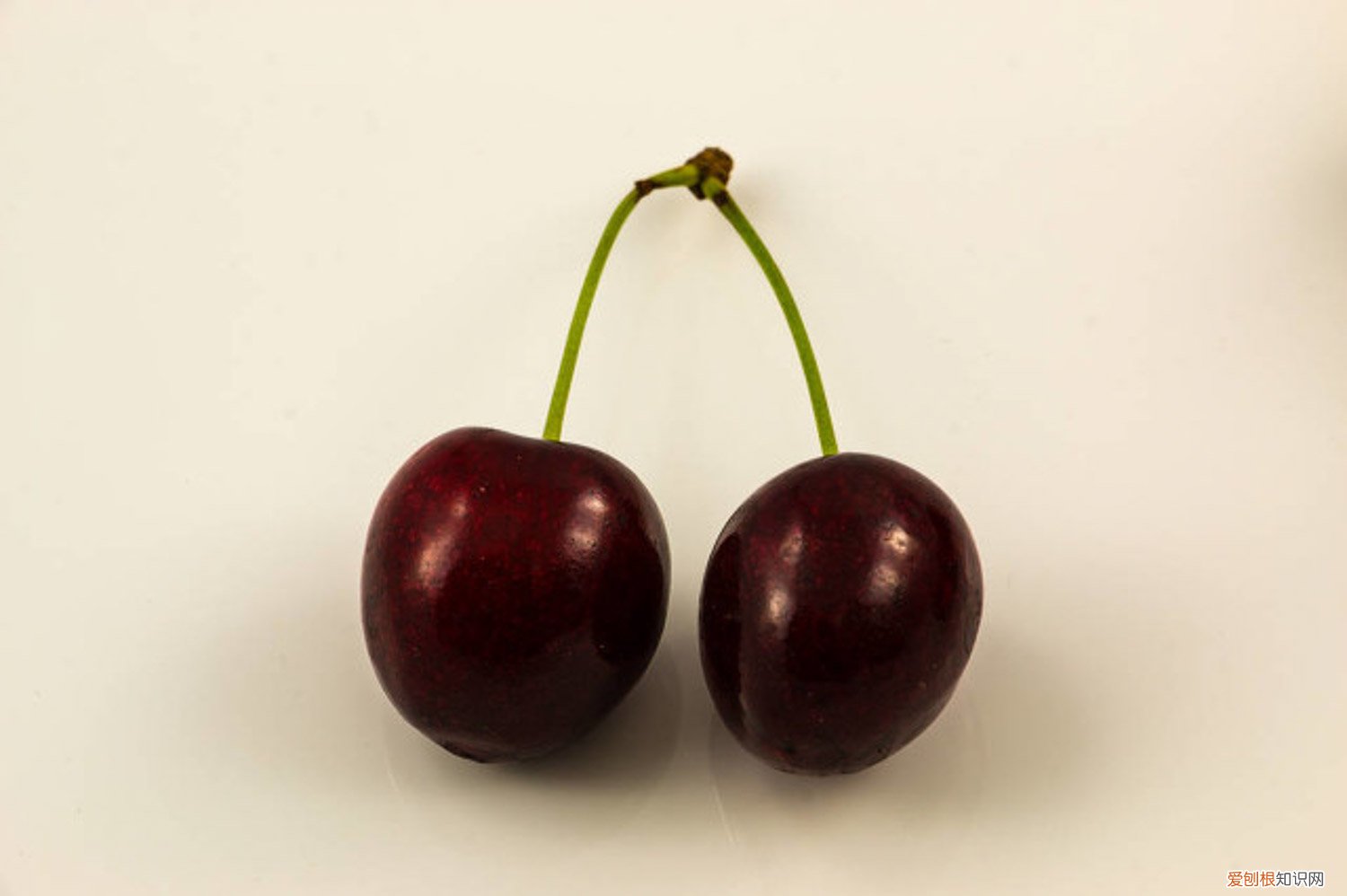 樱桃树冬天可以移植吗 冬季移栽樱桃树的方法