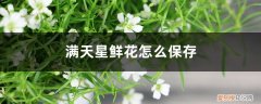 满天星鲜花如何保存 满天星鲜花怎么保存