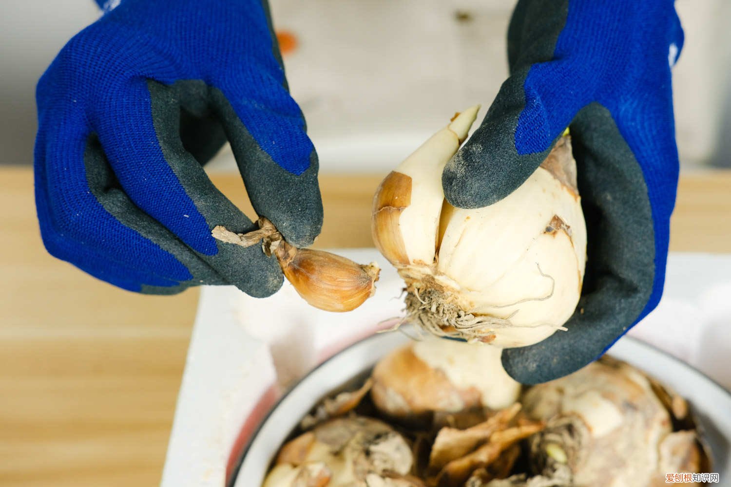 水仙花为什么要雕 水仙为什么要雕刻